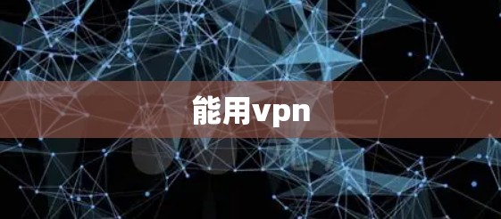 能用vpn 能用vpn