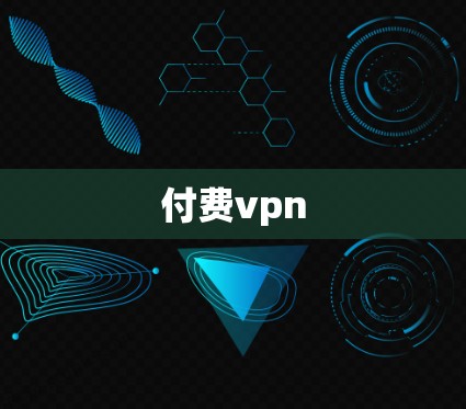 付费vpn 付费vpn