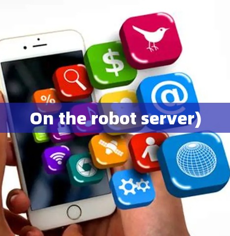 On the robot server) On the robot server)