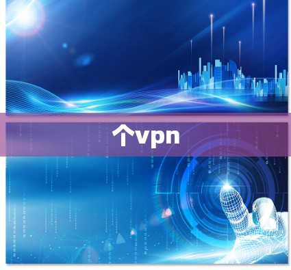 个vpn 个vpn