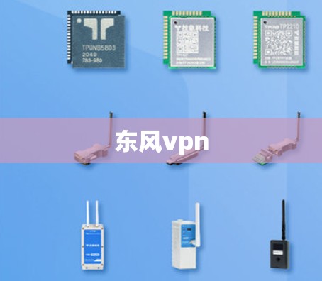 东风vpn