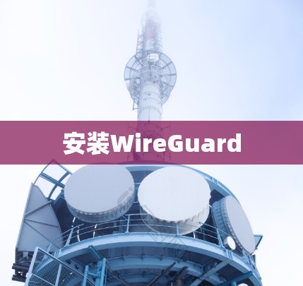 安装WireGuard