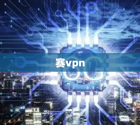 赛vpn