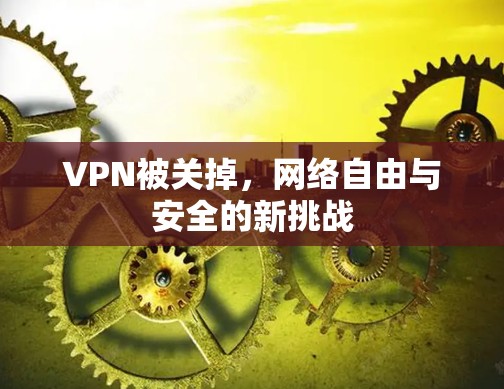 VPN被关掉，网络自由与安全的新挑战